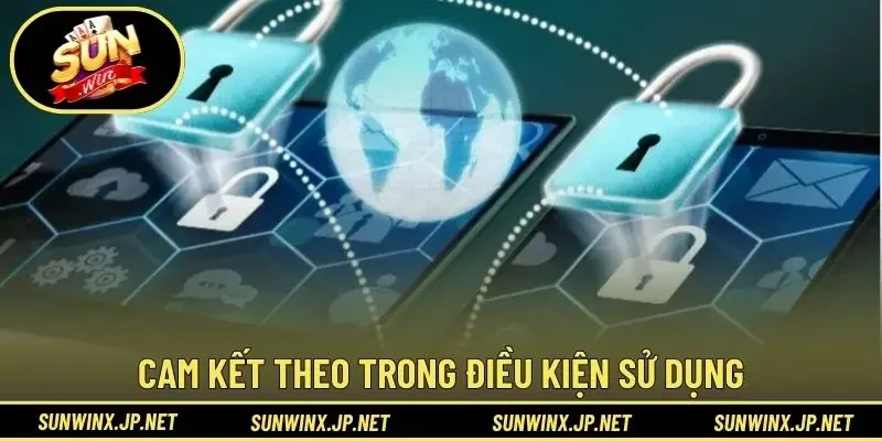Cam kết theo trong điều kiện sử dụng