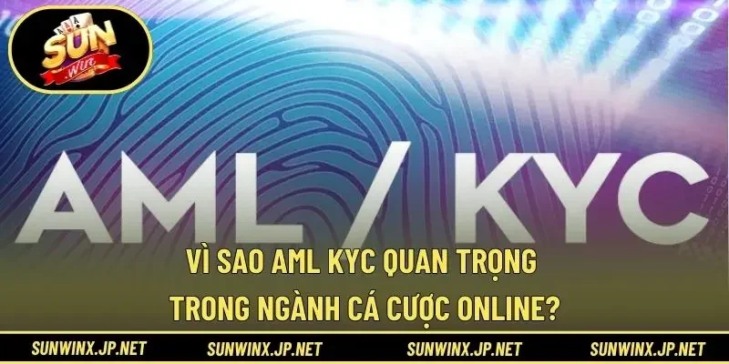 Vì sao AML KYC quan trọng trong ngành cá cược online?